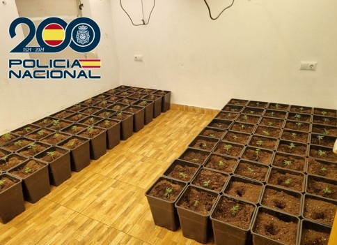 (POLICIA NACIONAL)