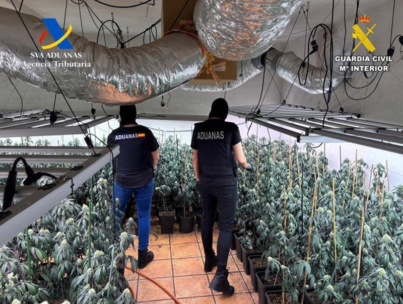 Operación conjunta de la Agencia Tributaria y la Guardia Civil contra el cultivo de marihuana en la provincia de Granada (GUARDIA CIVIL)