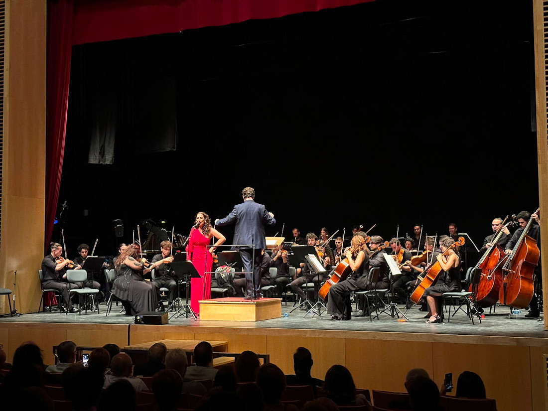 Imagen del concierto (AYTO. GUADIX)