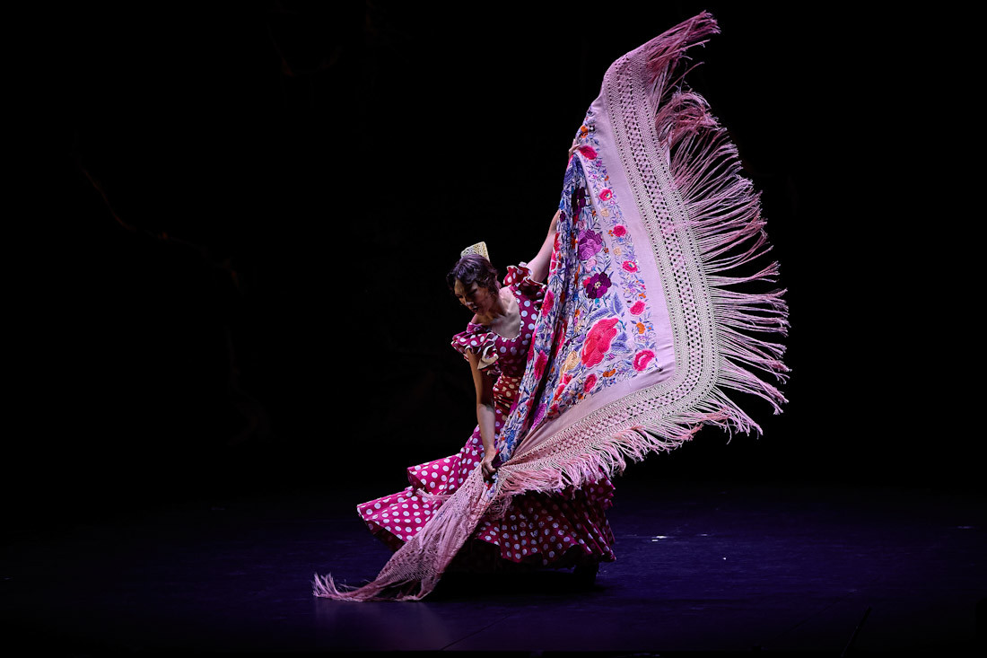 Ballet flamenco de Andalucía (GRANADA FESTIVAL)