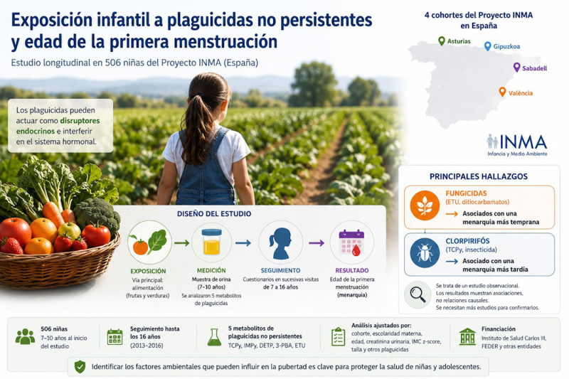 Imagen de la investigación (UGR)