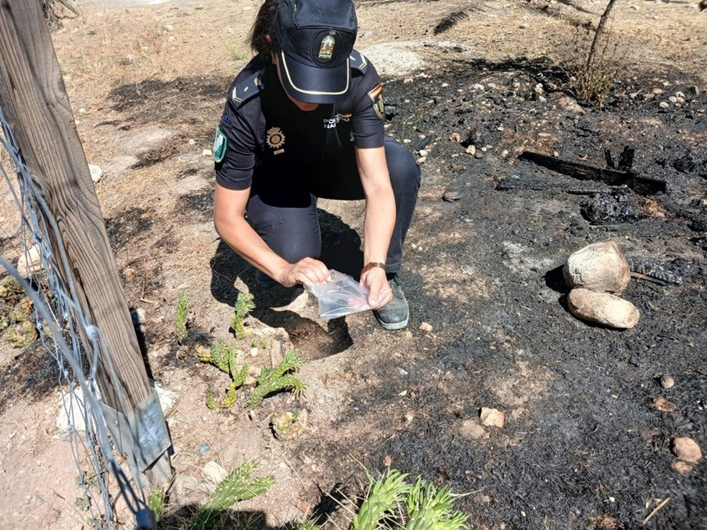 Agente en la zona del incendio del Cerro de San Miguel (JUNTA DE ANDALUCÍA)