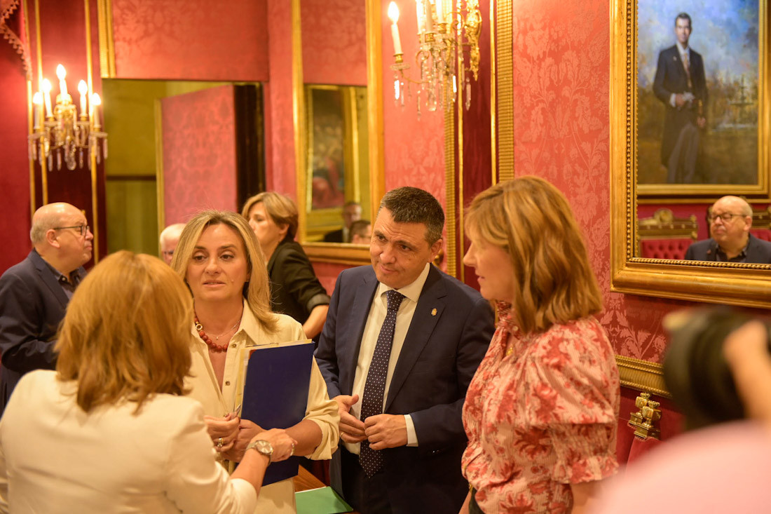 Pleno del Ayuntamiento de Granada (GPMEDIA)