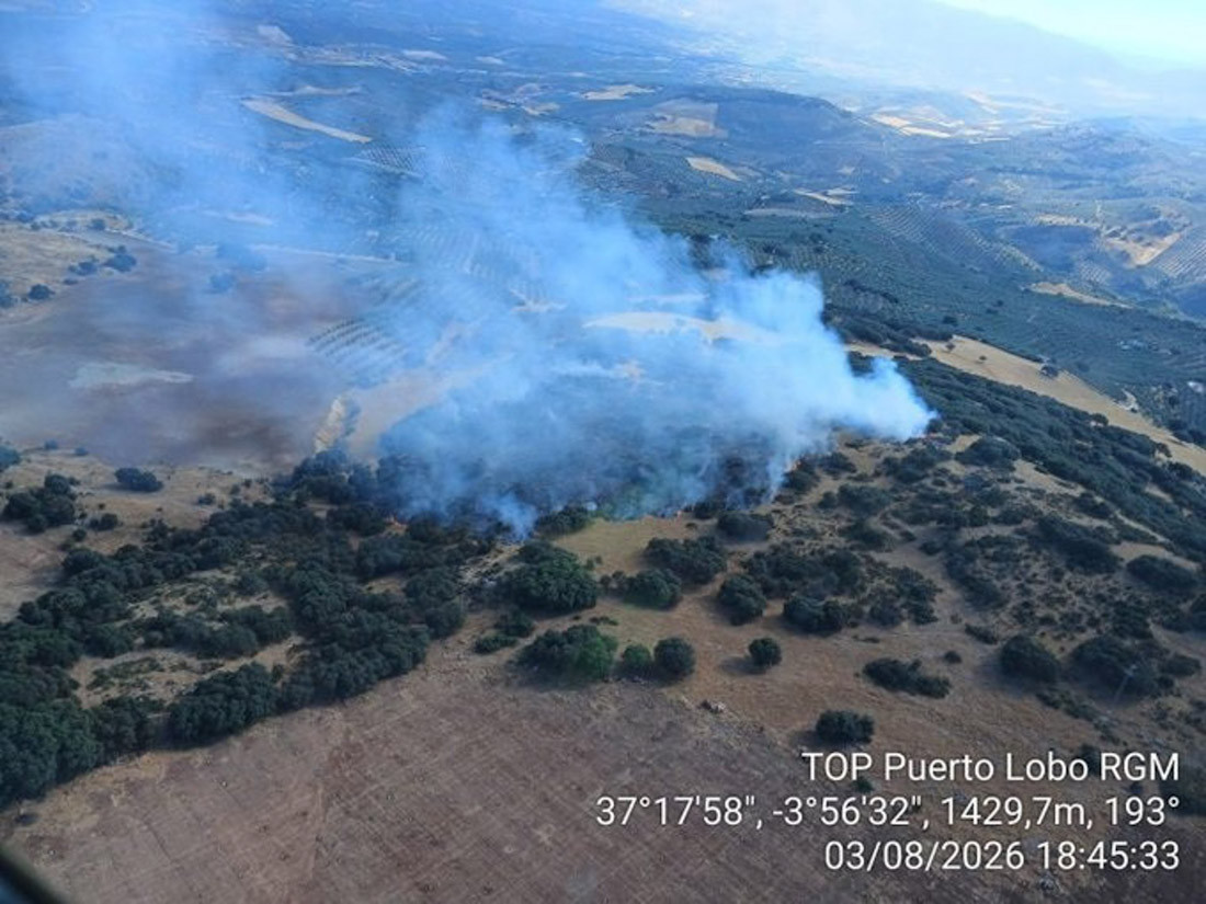 Incendio forestal declarado en Íllora (Granada) en un paraje de la Sierra de Parapanda (PLAN INFOCA)