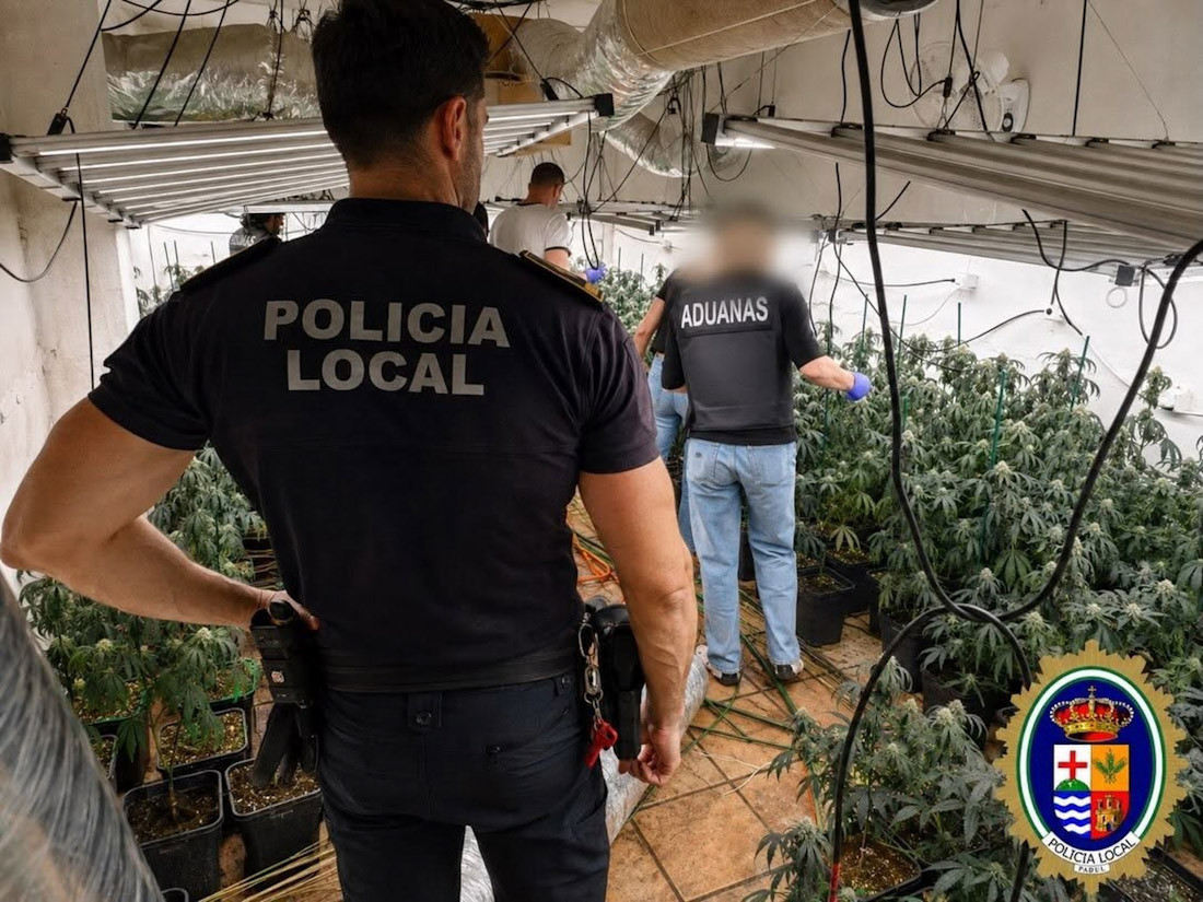 La Policía Local de Padul, junto a la Guardia Civil y el Servicio de Vigilancia Aduanera, ha llevado a cabo en los tres últimos meses actuaciones que han permitido intervenir de más de 1.500 plantas de marihuana (POLICÍA LOCAL DE PADUL)