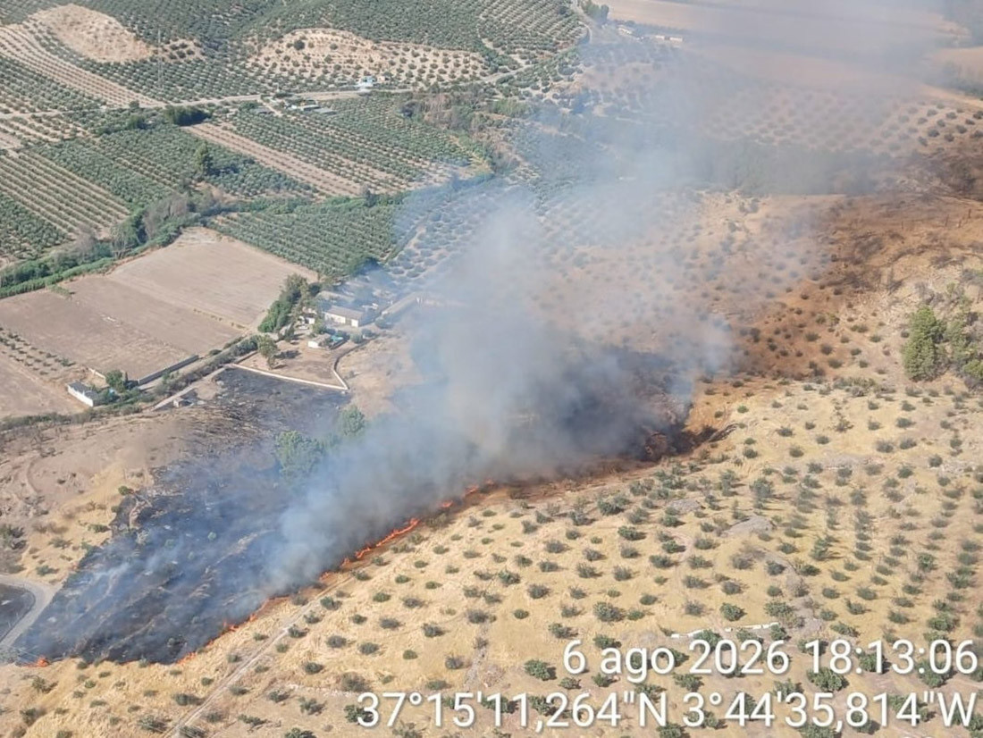 Incendio forestal activo en el Barranco de los Tajos en Pinos Puente (PLAN INFOCA)
