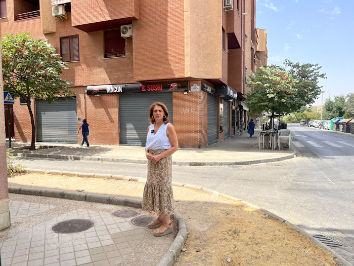 (PSOE) (PSOE)