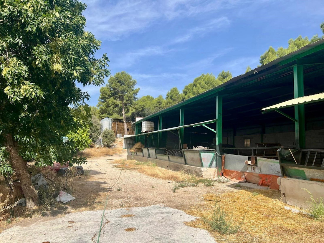 El PSOE de Castril urge al alcalde una solución “definitiva” al suministro de agua en El Corralón y denuncia el “boicot” a una explotación ganadera (PSOE GRANADA)