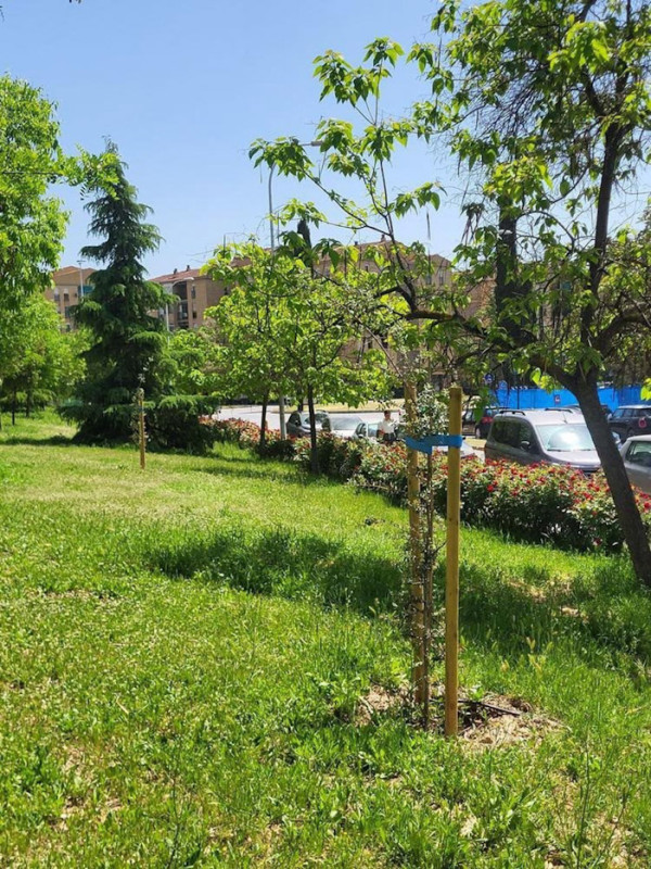 La ciudad de Granada gana 185 nuevos árboles y refuerza sus corredores verdes con el proyecto Healthy Cities de Sanitas (AYUNTAMIENTO DE GRANADA)