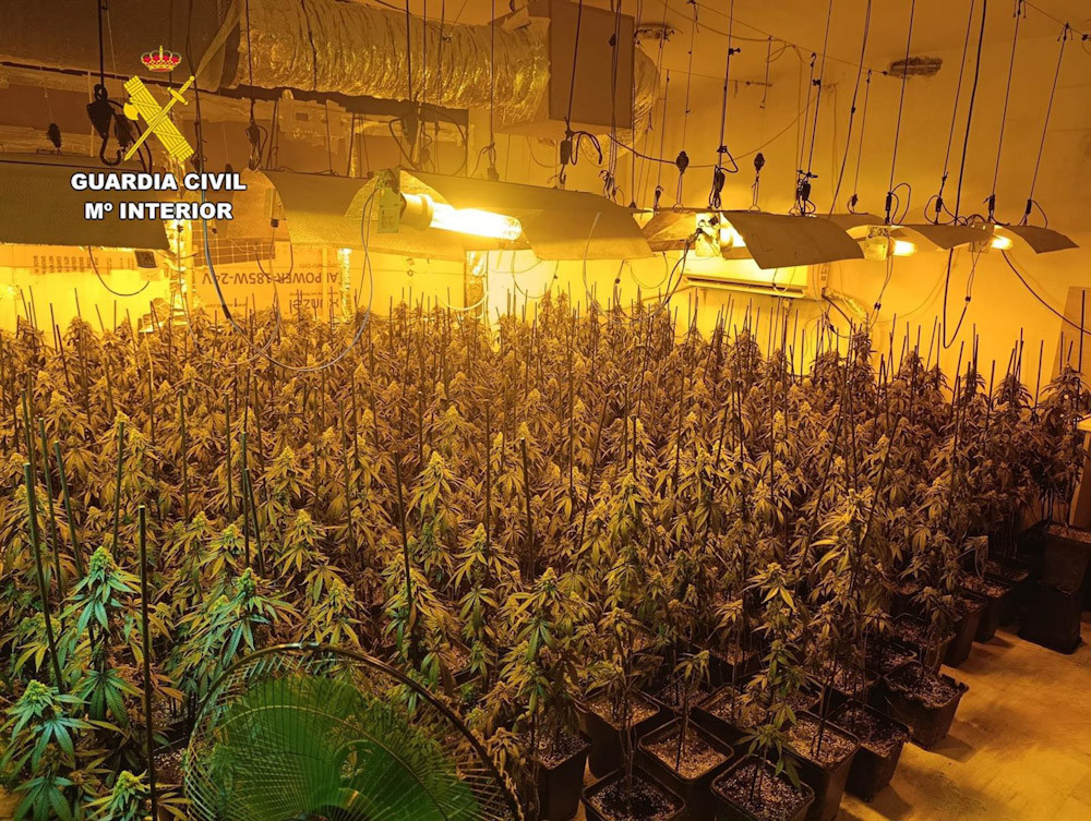 La Guardia Civil desmantela diez centros de producción de marihuana e interviene 2.375 plantas en Cogollos Vega (GUARDIA CIVIL)