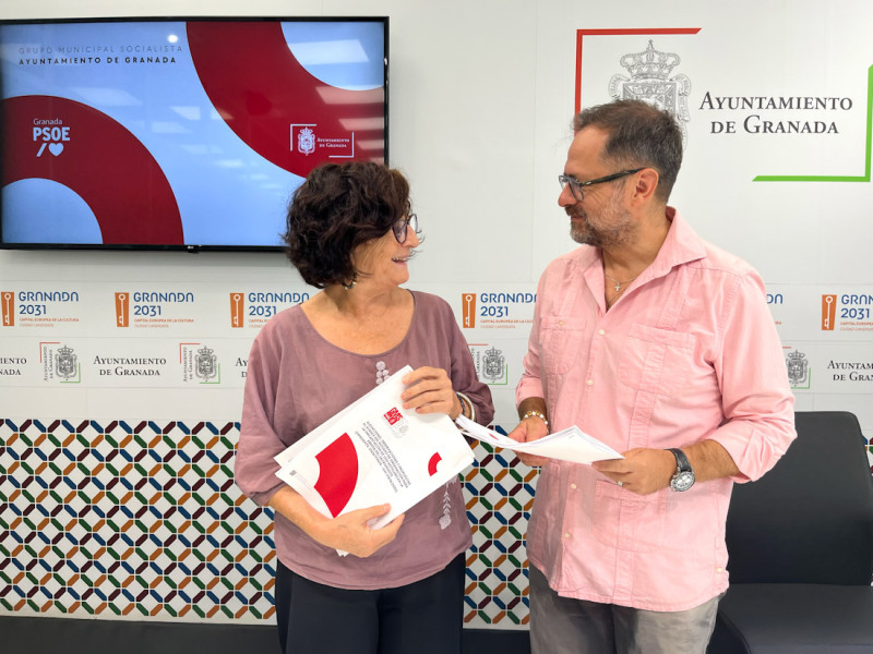 (PSOE) (PSOE)