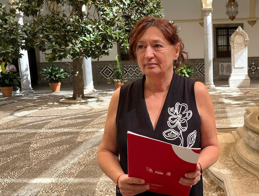 (PSOE)