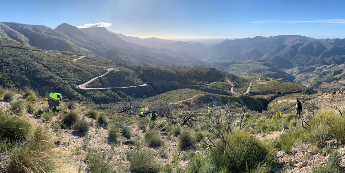 El paraje afectado por el incendio de Los Guajares recupera sus primeras 80 hectáreas (UNEI - PLANT FOR THE PLANET)