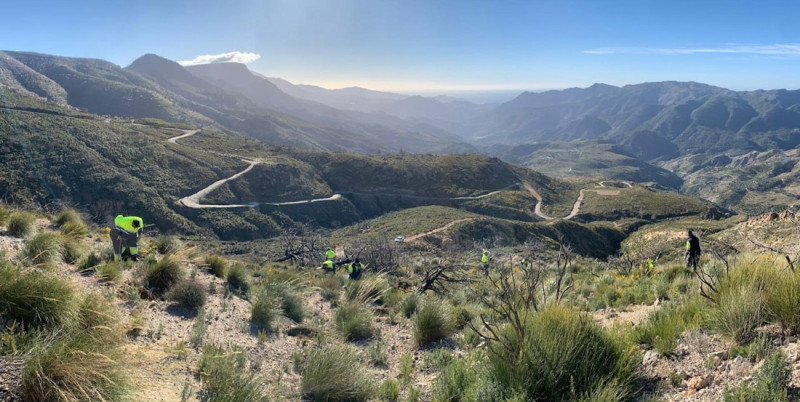 El paraje afectado por el incendio de Los Guajares recupera sus primeras 80 hectáreas (UNEI - PLANT FOR THE PLANET)