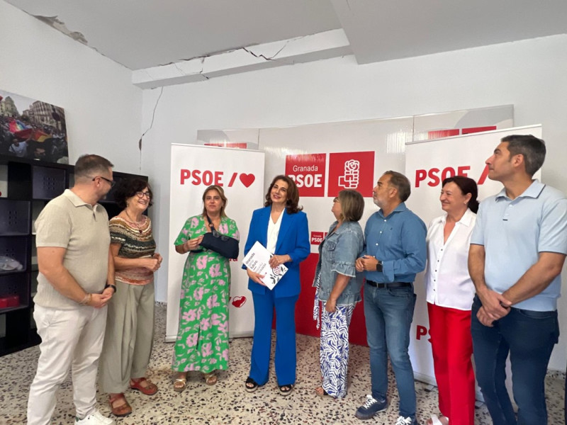 (PSOE) (PSOE)