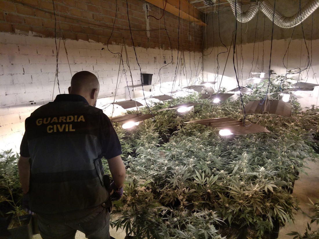 Imagen de archivo de una peración contra el cultivo de marihuana (GUARDIA CIVIL)