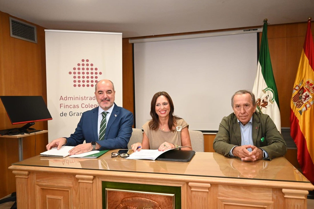 Imagen de la reunión (JUNTA)