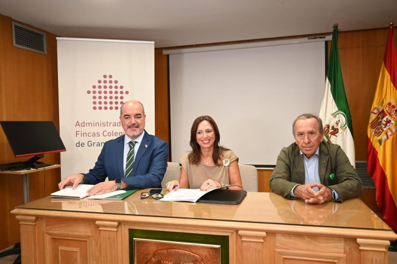 Imagen de la reunión (JUNTA)