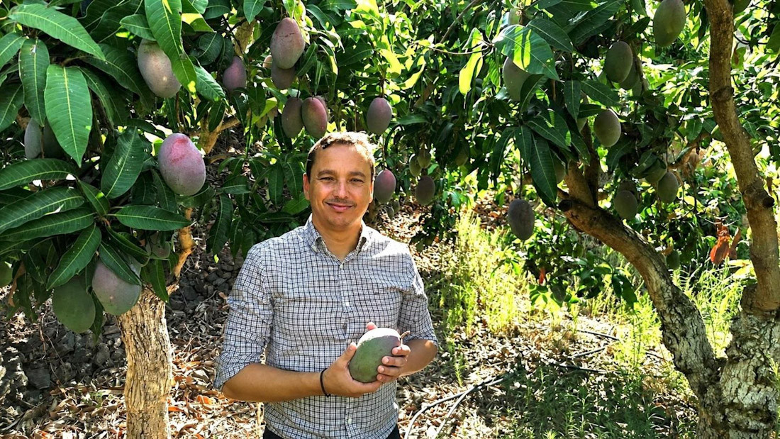El concejal de Agricultura de Almuñécar en la finca El Zahorí junto a una plantación de mangos (AYUNTAMIENTO DE ALMUÑÉCAR)
