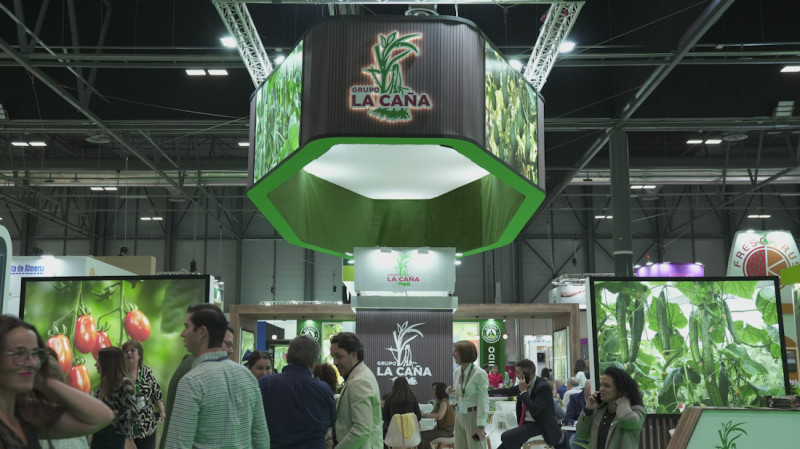 (GRUPO LA CAÑA) (GRUPO LA CAÑA)