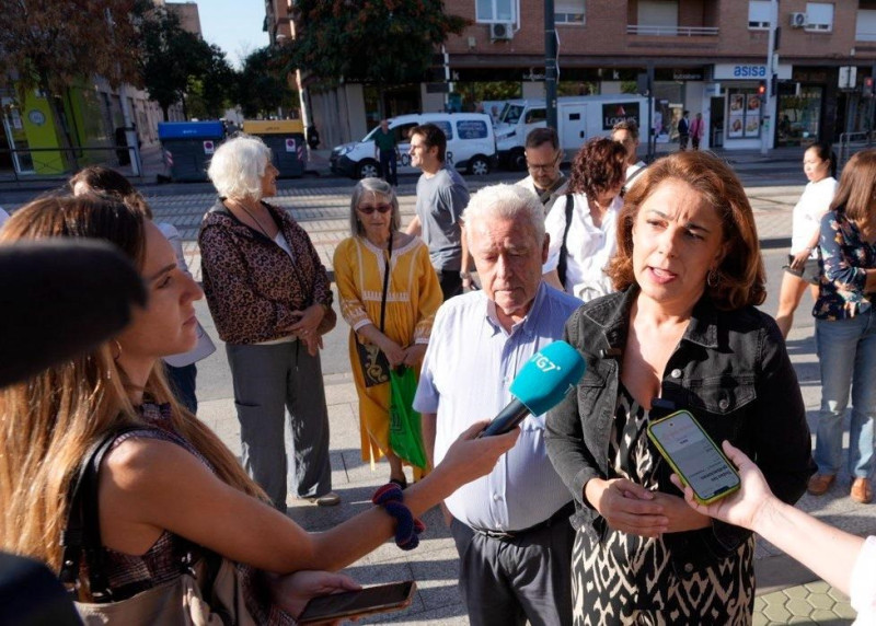 (PSOE) (PSOE)