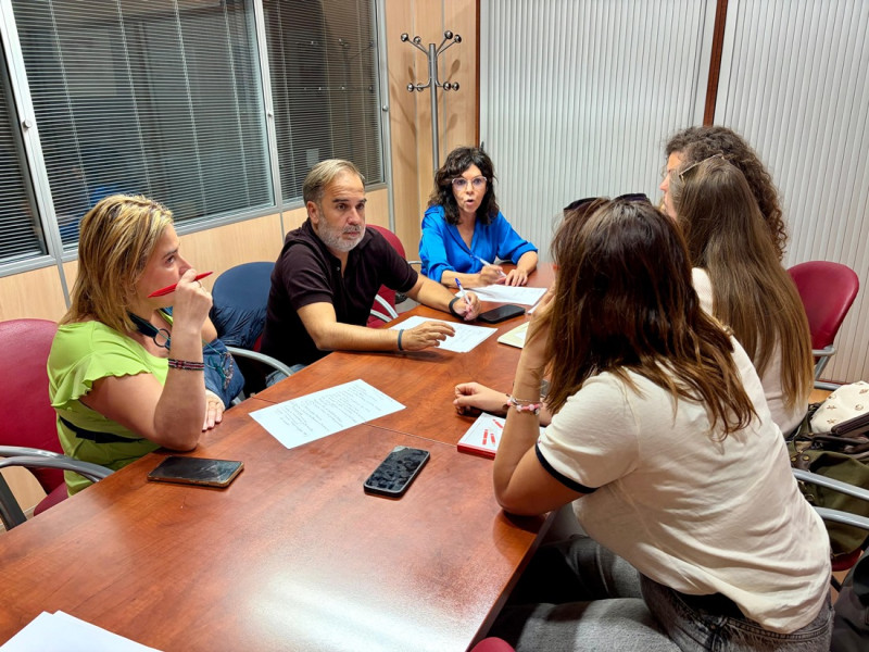 (PSOE) (PSOE)
