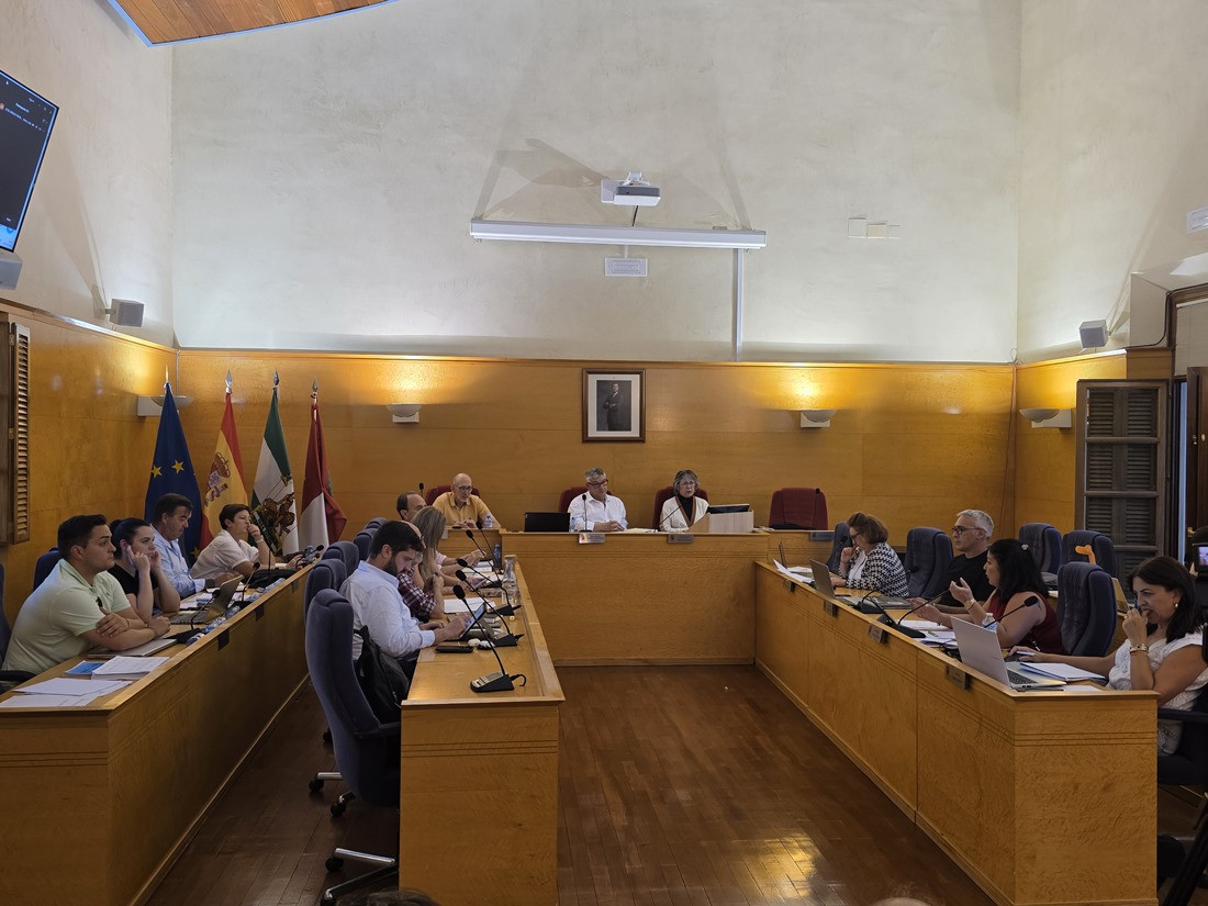 Pleno del Ayuntamiento de Guadix (AYTO. GUADIX)