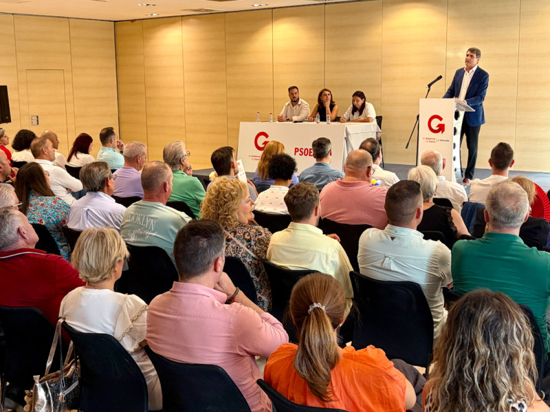 (PSOE) (PSOE)