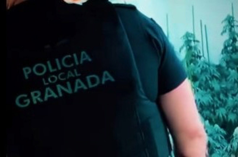 La Policía Local de Granada ha detenido a dos varones sexagenarios y ha desmantelado una plantación 'indoor' con un total de 110 plantas de marihuana en el distrito Norte de la ciudad (POLICÍA LOCAL DE GRANADA) La Policía Local de Granada ha detenido a dos varones sexagenarios y ha desmantelado una plantación 'indoor' con un total de 110 plantas de marihuana en el distrito Norte de la ciudad (POLICÍA LOCAL DE GRANADA)