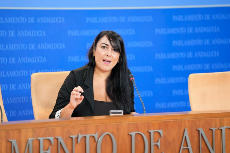 La parlamentaria de Adelante Andalucía por Granada y portavoz adjunta de la formación en la cámara regional, Inma Manzano (JOAQUÍN CORCHERO / EUROPA PRESS)