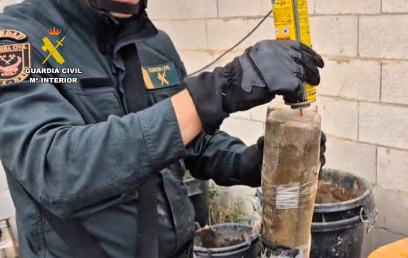 La Guardia Civil interviene cerca de 2.000 plantas de marihuana y desmantela un peligroso laboratorio BHO en Atarfe (GUARDIA CIVIL) La Guardia Civil interviene cerca de 2.000 plantas de marihuana y desmantela un peligroso laboratorio BHO en Atarfe (GUARDIA CIVIL)